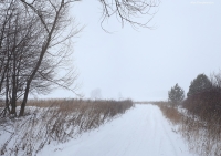 Pan_2015_01_05.jpg