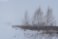 Имя файла=Pan_2015_01_25.jpg
Размер файла=1149КБ
Размеры=2000x1358
Дата=Янв 11, 2015 Pan_2015_01_25.jpg
