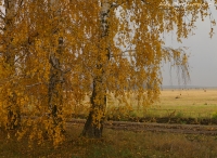 Имя файла=Pan_oct_155.jpg
Размер файла=616КБ
Размеры=1000x731
Дата=Окт 11, 2013 Pan_oct_155.jpg