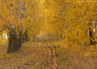Имя файла=Pan_oct_185.jpg
Размер файла=1025КБ
Размеры=1250x884
Дата=Окт 11, 2013 Pan_oct_185.jpg