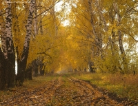Имя файла=Pan_oct_195.jpg
Размер файла=1190КБ
Размеры=1250x963
Дата=Окт 11, 2013 Pan_oct_195.jpg