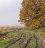 Имя файла=Pan_oct_205.jpg
Размер файла=974КБ
Размеры=1138x1204
Дата=Окт 11, 2013 Pan_oct_205.jpg