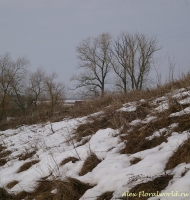 Имя файла=Panorama2012_4_19.jpg
Размер файла=518КБ
Размеры=953x1000
Дата=Апр 15, 2012 Panorama2012_4_19.jpg