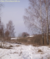 Имя файла=Panorama2012_4_65.jpg
Размер файла=549КБ
Размеры=851x1000
Дата=Апр 16, 2012 Panorama2012_4_65.jpg