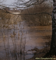 Имя файла=Panorama2012_4_69.jpg
Размер файла=615КБ
Размеры=931x1000
Дата=Апр 16, 2012 Panorama2012_4_69.jpg