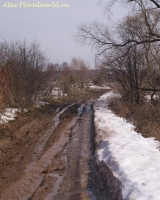 Имя файла=Panorama2012_4_85.jpg
Размер файла=480КБ
Размеры=803x1000
Дата=Апр 16, 2012 Panorama2012_4_85.jpg