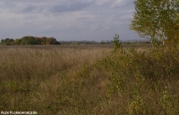 Pole_2007_8759.jpg