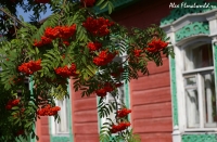 Имя файла=Ryabina_dom_kolomna.jpg
Размер файла=258КБ
Размеры=900x592
Дата=Сент 18, 2008 Ryabina_dom_kolomna.jpg