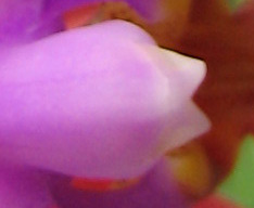 646.jpg