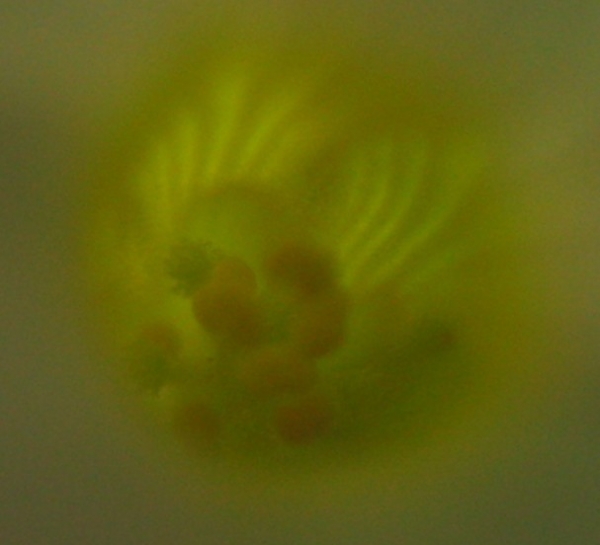 january2011_111.jpg