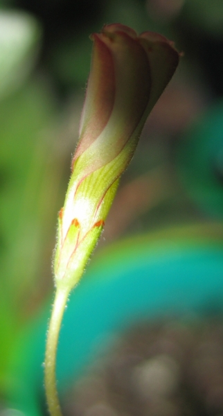 january2011_115.jpg
