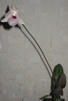 169.jpg