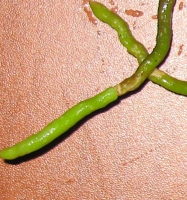 578.jpg
