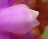 646.jpg