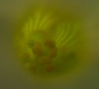january2011_111.jpg