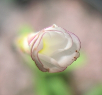 january2011_113.jpg
