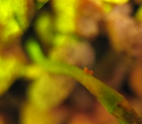january2011_116.jpg