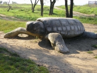 Имя файла=P9270024.jpg
Размер файла=772КБ
Размеры=1048x786
Дата=Фев 26, 2008 P9270024.jpg