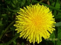 dr_kompanii_4_goda_19_05_07_086.jpg
