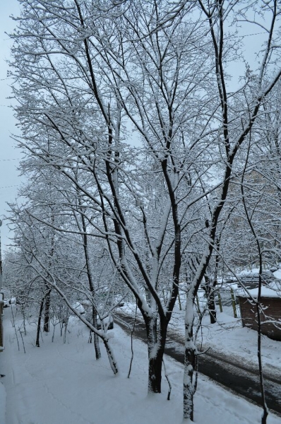 Вид из окна Зима 2009
