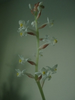 02010014s.jpg