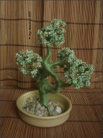 Bonsai_4a.jpg