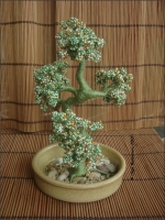 Bonsai_4b.jpg