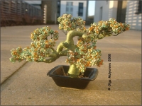 Bonsai_6b.jpg