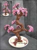 Bonsai_Sakura_370.jpg