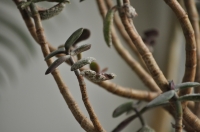 DSC_0122~0.JPG