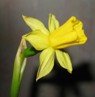 123.jpg