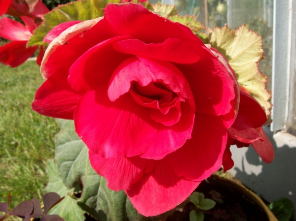 100_0515.jpg
