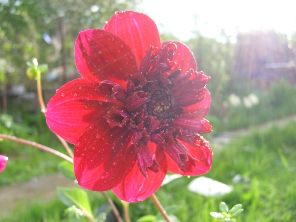 STP68896.JPG
