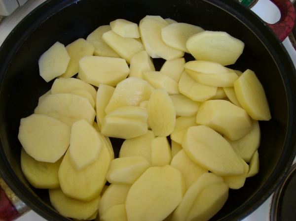 STP69639.JPG