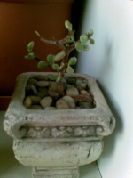 20090401(008).jpg