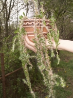 PICT5445.JPG