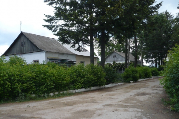 P1060955.JPG