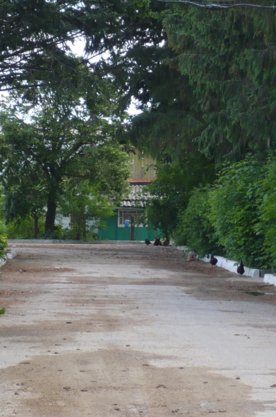 P1060956.JPG
