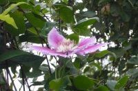 P1050066.JPG