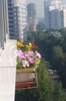 Имя файла=P1090613.JPG
Размер файла=335КБ
Размеры=1029x1550
Дата=Июль 14, 2013 P1090613.JPG