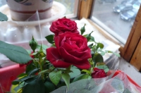Имя файла=Rose.jpg
Размер файла=70КБ
Размеры=700x465
Дата=Апр 20, 2010 Rose.jpg