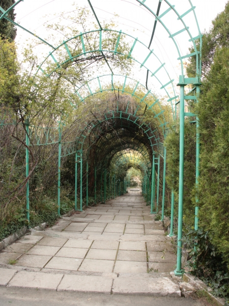 Livadiyskiy_park_8.jpg