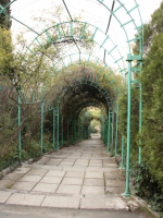 Livadiyskiy_park_8.jpg