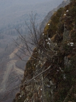 Имя файла=pik_8.jpg
Размер файла=286КБ
Размеры=675x900
Дата=Нояб 16, 2014 pik_8.jpg
