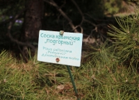 Имя файла=sosna_krymskaya_Podgornyy_1.jpg
Размер файла=332КБ
Размеры=1000x720
Дата=Авг 11, 2018 sosna_krymskaya_Podgornyy_1.jpg
