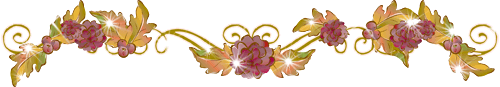 51.gif