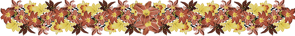 l3.gif