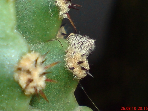 DSC02431.JPG