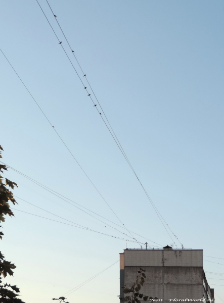 DSCN6992-1.jpg