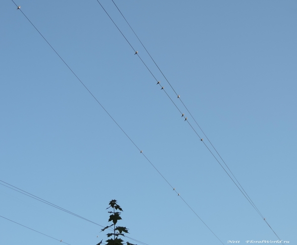 DSCN7030.jpg